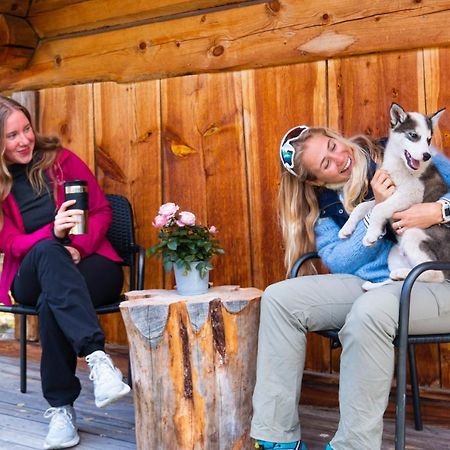 Jotunheimen Husky Lodge Randsverk Εξωτερικό φωτογραφία
