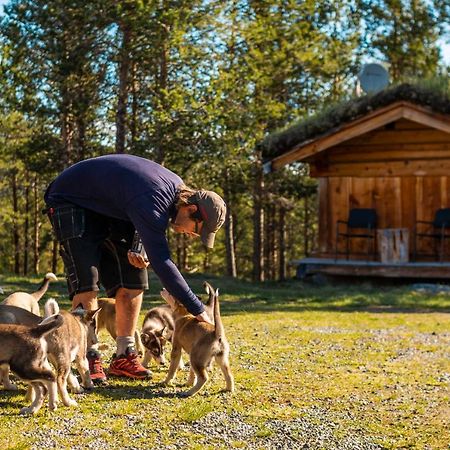 Jotunheimen Husky Lodge Randsverk Εξωτερικό φωτογραφία