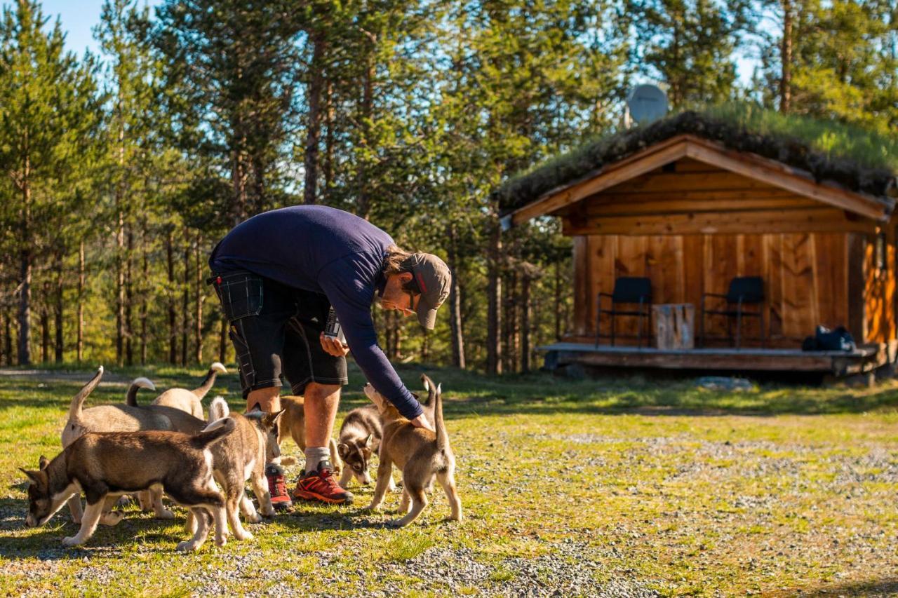 Jotunheimen Husky Lodge Randsverk Εξωτερικό φωτογραφία