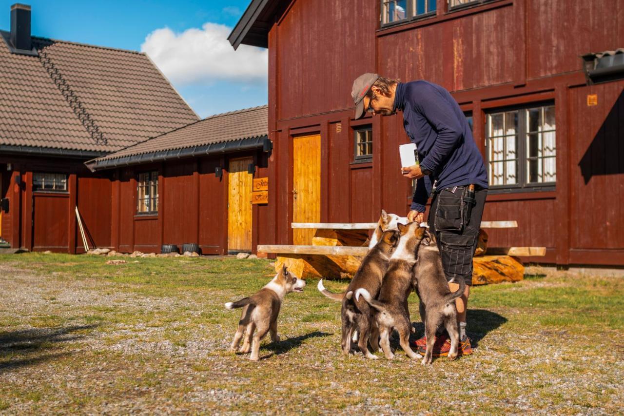Jotunheimen Husky Lodge Randsverk Εξωτερικό φωτογραφία